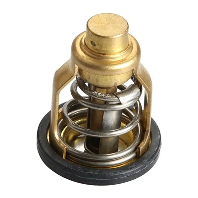 67F-12411-0 Thermostat für Yamaha F75 F80 F90 F150 Außenbordmotor